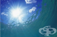 ��������� �������� �� ���������� ����